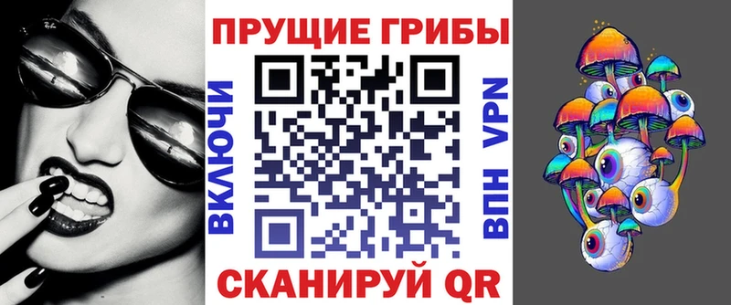 Псилоцибиновые грибы Cubensis где найти Красково
