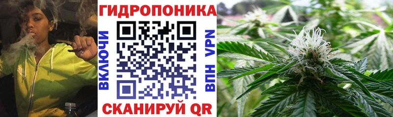 Каннабис SATIVA & INDICA  где можно купить наркотик  Красково 